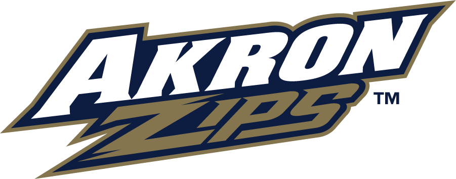 Akron Zips 2008-2018 Wordmark Logo diy DTF decal sticker